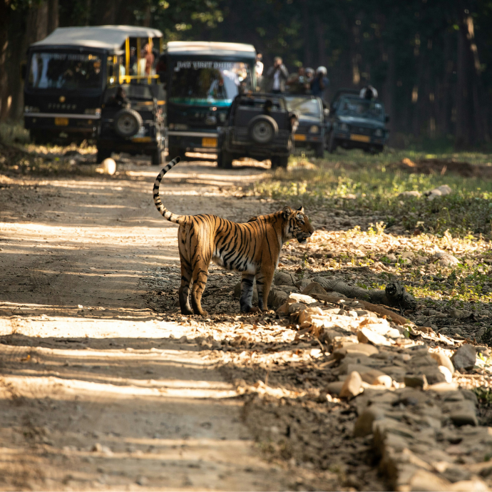 Explore Nainital with Naksh Travels